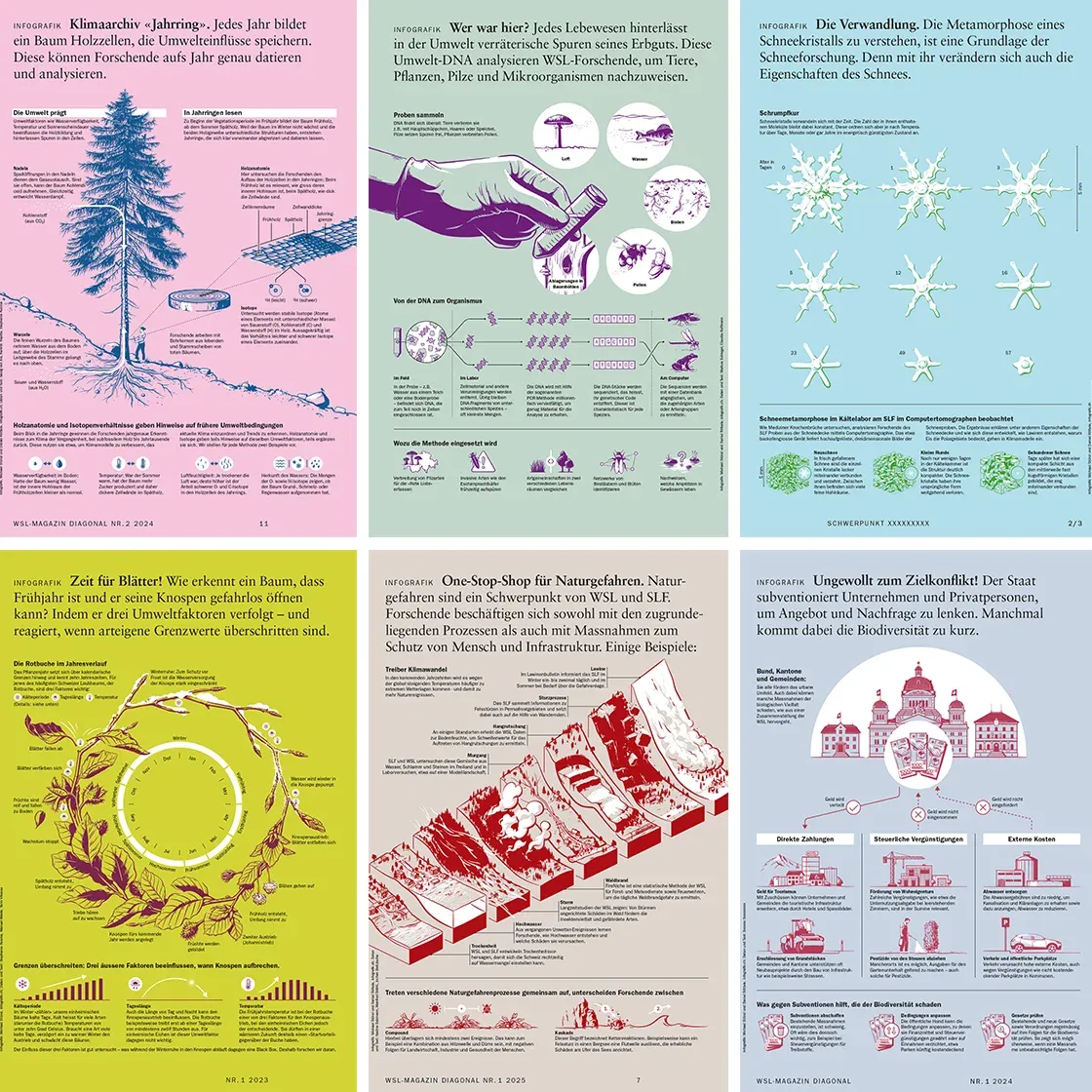 Infographic Series – WSL Magazine Diagonal