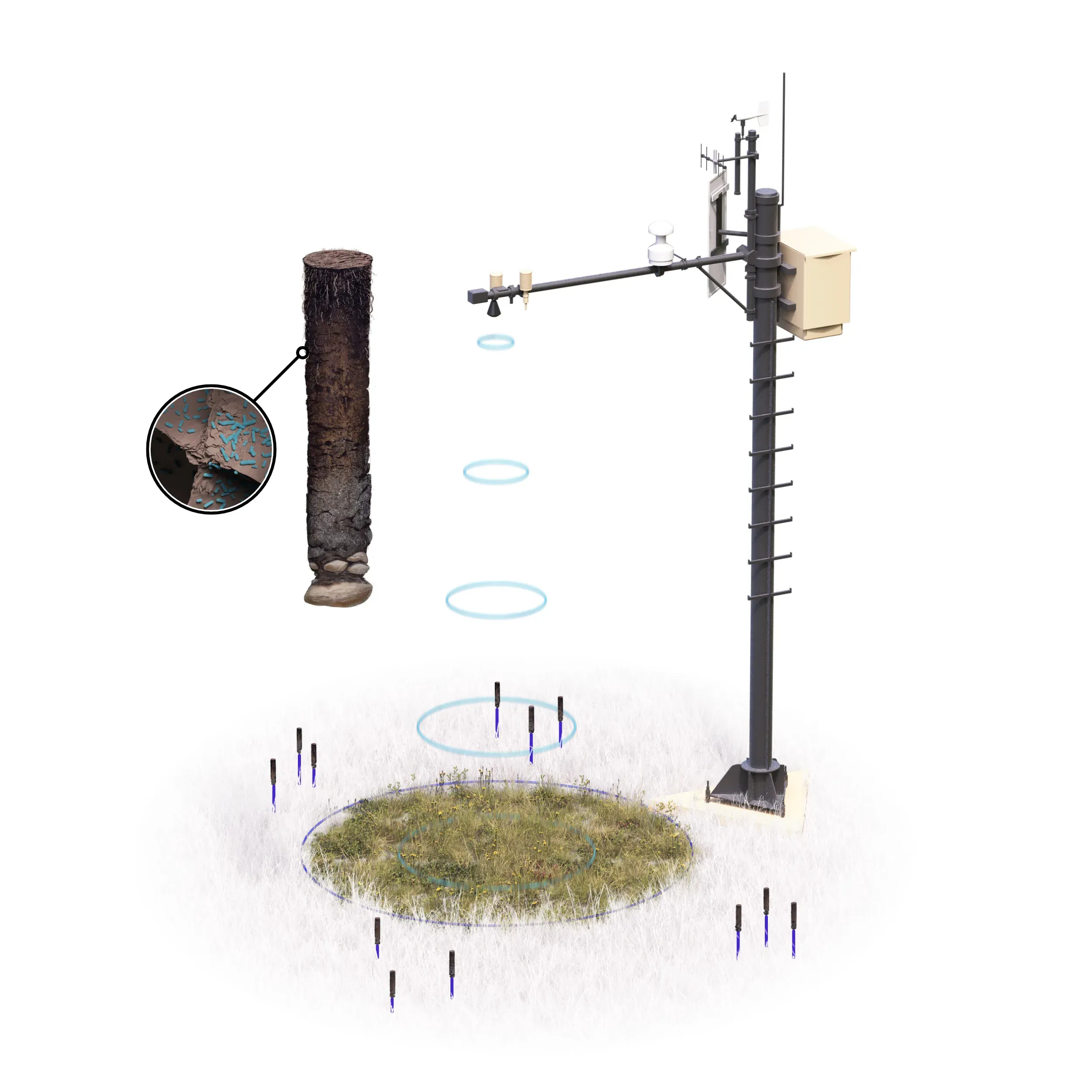 Ultrasonic Plant Height Measurement